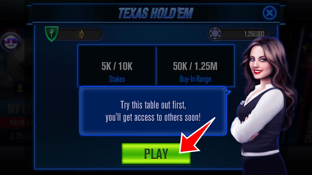 WSOP プレイ画面の例